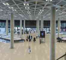 Aeroporturile internaționale din Iordania