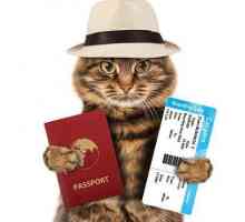 Pașaport veterinar internațional pentru câini și pisici