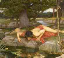 Mitul lui Narcissus: un înțeles concis și ascuns