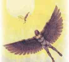 Mituri ale Greciei antice: Daedalus și Icarus. Legendă rezumat, imagini