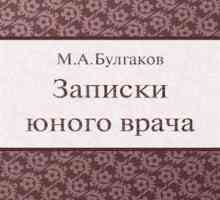 Mikhail Bulgakov, "Notele unui tânăr doctor": un rezumat și o analiză