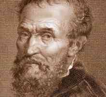 Michelangelo: creativitate și biografie