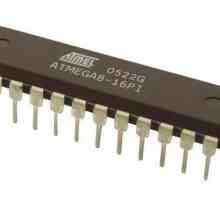 Microcontrolere Atmega8. Programarea Atmega8 pentru începători