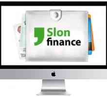 Micro-împrumuturi în compania "Elephant Finance": recenzii. Slon Finance