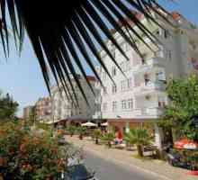 Millennium Park Hotel 3 *, Turcia: descriere și recenzii