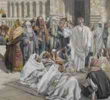 Samaritul milostiv al Noului Testament: sensul pildă