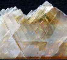 Gipsul mineral: descriere și aplicare