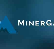 MinerGate: cum să lucrezi, cum să câștigi și să retragi bani