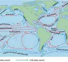 Oceani: studiați curenții oceanici