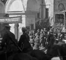 Revolta socialist-revoluționarilor din stânga din iulie 1918: cauze și consecințe