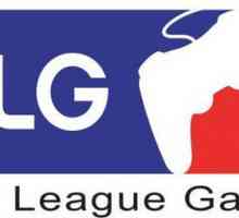 MLG - ce este? Jocurile majore din Liga. Liga profesională a jocurilor video