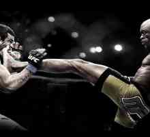 MMA: clasamentul luptătorilor (TOP-3)