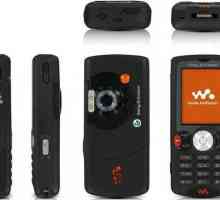 Telefon mobil Sony Ericsson W810I: specificații și sfaturi de dezasamblare