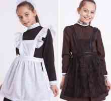 Modă școală uniforme pentru fete cu șorț. Uniforme pentru fete pline (fotografie)