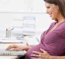 Poate o femeie însărcinată să fie eliberată în timpul probațiunii? Este posibil să se concedieze o…