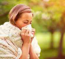 Rugăciunile și parcelele de la alergii