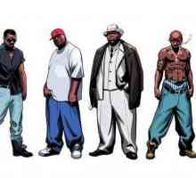 Subcultura tinerilor: rapperi