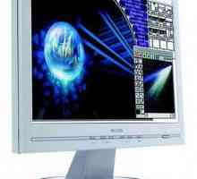 Monitor Philips 170S. Principalele caracteristici tehnice