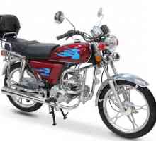 Moped `Alpha` (72 cu.): Specificații tehnice