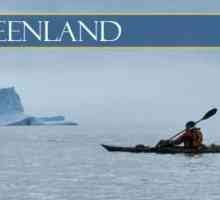Marea Groenlandei: descriere, localizare, temperatură și faună a apei