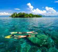 Marea de Sulawesi: locație, descriere și faună