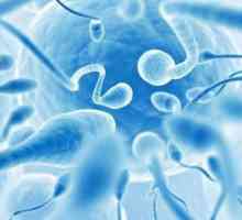 Morfologia spermogramei: tulburări și îmbunătățirea indicilor