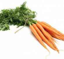 Topuri de morcov: rău și beneficii pentru organism