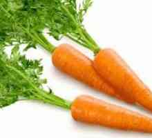 Carrot face mask: comentarii. Masti din morcovi