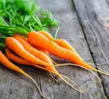 Salata de morcov: reteta, caracteristici de gatit si recomandari