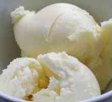 Înghețată din lapte de casă la domiciliu: rețete, caracteristici de gătit și recenzii