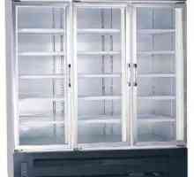Congelator cabinet: sfaturi pentru cumparatori