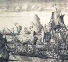 Bătălia maritimă lângă Capul Gangut (1714)