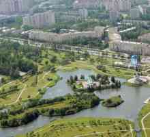 Districtul Moscova din Sankt Petersburg