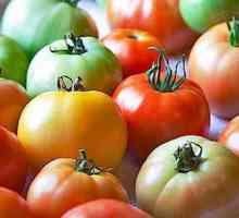 Este posibil să mănânci tomate în timpul alăptării?