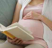 Pot lua clorofillipt în timpul sarcinii?