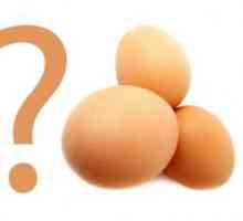 Ouăle pot fi alăptați?