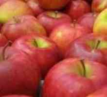 Este posibilă înghețarea merelor pentru iarnă, astfel încât acestea să fie vitamine gustoase și…