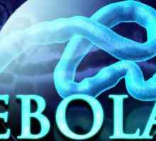 Pot obține febra Ebola prin banane și alte produse importate?
