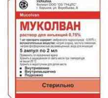 "Mukolvan" pentru inhalări prin nebulizator: manual de instrucțiuni, recenzii