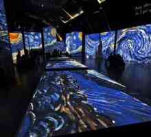 Expoziția multimedia "Tablourile vieții lui Van Gogh": trăsături, mărturii ale…