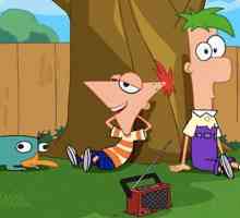 Seria animată "Phineas și Ferb": actori, istoria creației și descrierea anotimpurilor