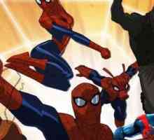 Seria animată "Marele Spiderman": actori și complot