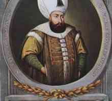 Murad III: biografia sultanului, cucerirea teritoriilor, intrigile palatului