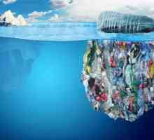 Insula de gunoi din Oceanul Pacific: cauzele apariției, consecințelor, fotografiei