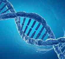 Mutația genelor hemostazice: manifestări și consecințe