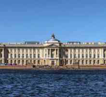 Muzeul Academiei de Arte din Sankt Petersburg: expoziții, recenzii