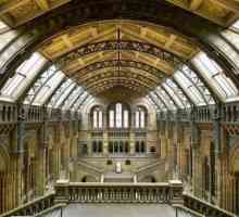 Muzeul de istorie naturală (Londra): istoria creației, zone, expoziții