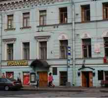 Muzeul-apartament Nekrasov NA: istorie, descriere, expoziții