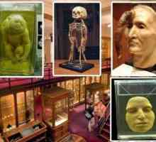 Muzeul de istorie medicală Mutter, Pennsylvania: istorie, exponate, fotografii