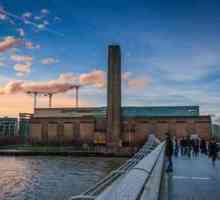 Muzeul din Londra `Tate Modern`: descriere, istorie și fapte interesante